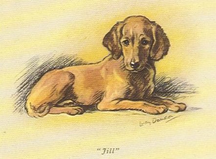 Poncelet Vintage Dog Art Print Irish Setter 