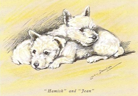 West Highland White Terrier MATTED Vintage Color Dog Print 