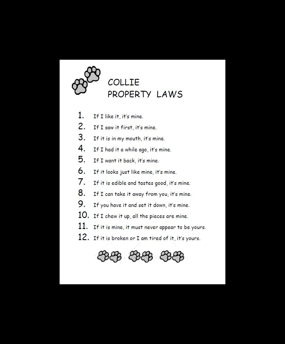 Collie Property Laws Dog Print